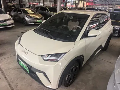 BYD Seagull