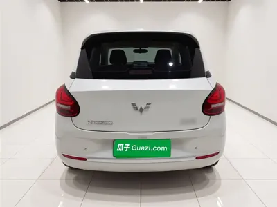 Wuling Bingo