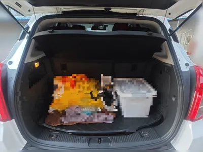 Buick Encore