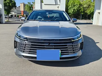 BYD Destroyer 05