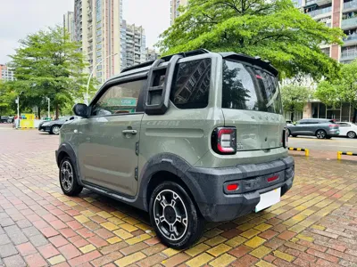 Galaxy Panda
