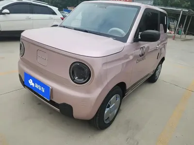 Galaxy Panda