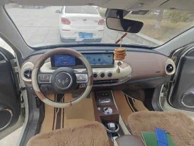 Wuling Bingo