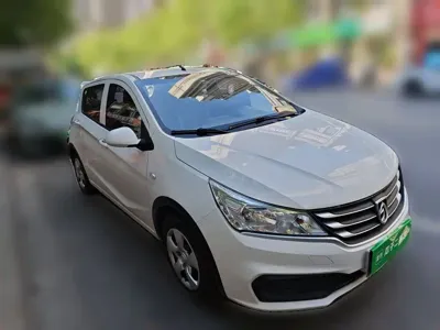 Baojun 310