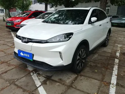 WM Motor EX5