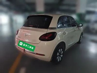 Wuling Bingo