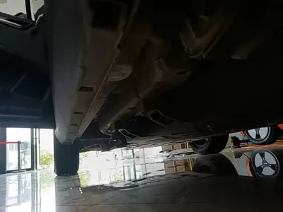 NETA Neta V