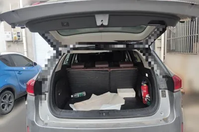 WEY VV6