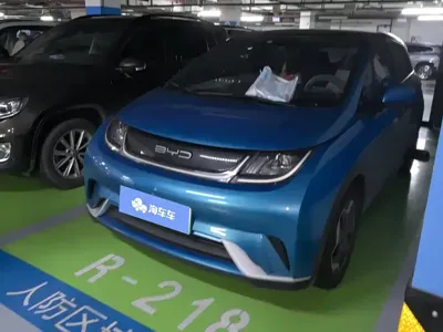 BYD Dolphin