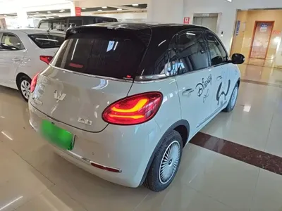 Wuling Bingo