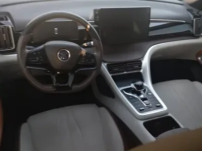 BYD Pro New Energy