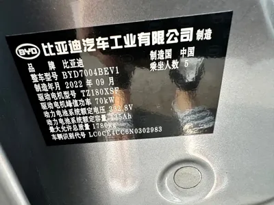 BYD Dolphin
