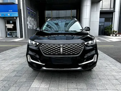 WEY Wey VV6