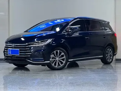 BYD MAX