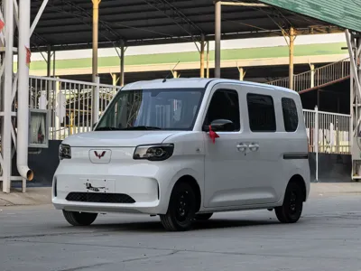 Wuling Zhiguang