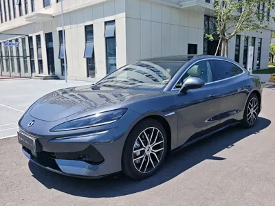 Denza Denza Z9