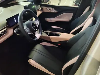 BYD Seagull