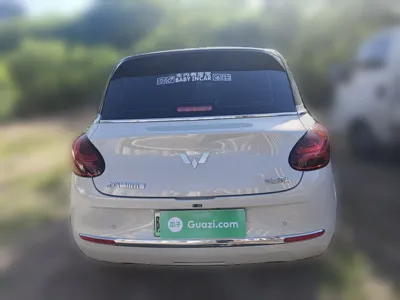 Wuling Bingo