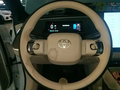 Toyota 铂智3X