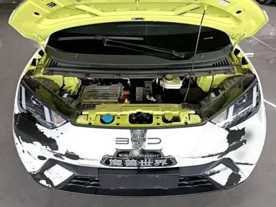 BYD Seagull