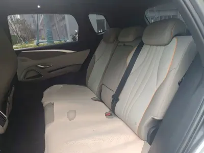 BYD Pro New Energy
