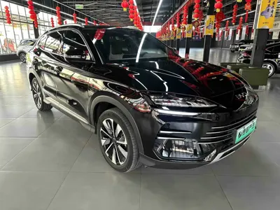 BYD PLUS New Energy