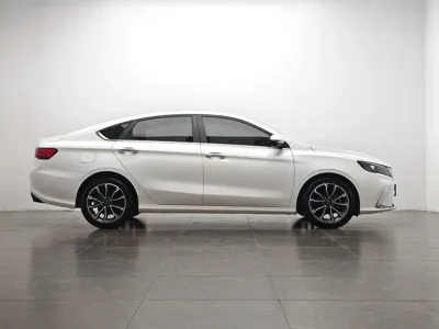 Geely Binrui