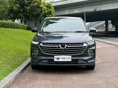 Wuling Victory