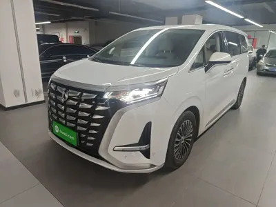 Denza Denza D9