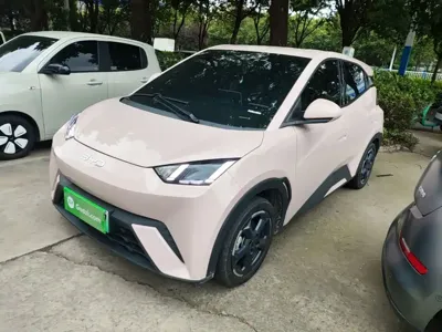 BYD Seagull