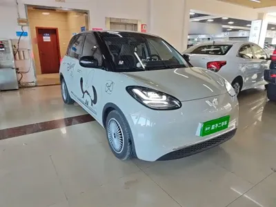 Wuling Bingo