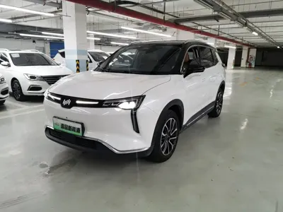 WM Motor W6