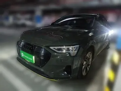 Audi e-tron (Import)