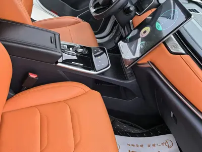 WM Motor EX5