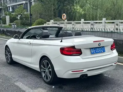 BMW 2 Series (Import)