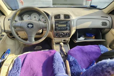Haima Fumei