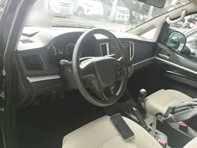 Fengxing Lingzhi