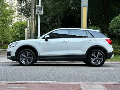 Audi Q2L e-tron