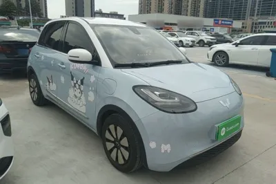 Wuling Bingo