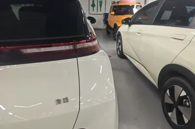 BYD Seagull