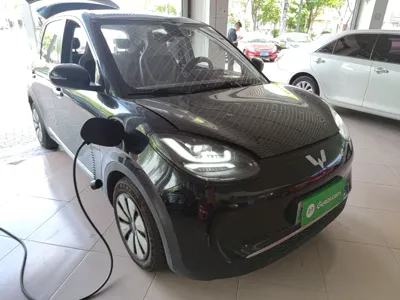 Wuling Bingo