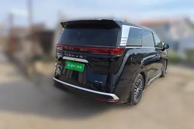 Denza D9