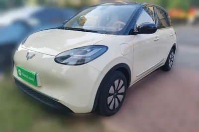 Wuling Bingo