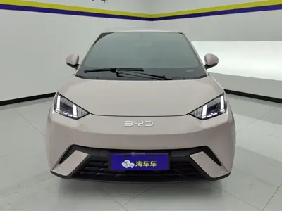 BYD Seagull