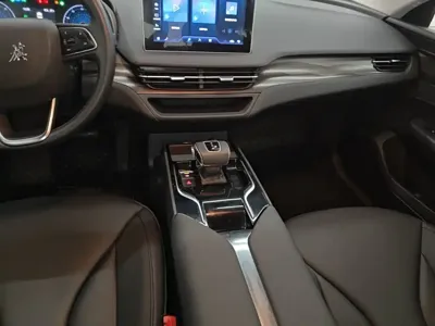 Hongqi Hongqi E-QM5