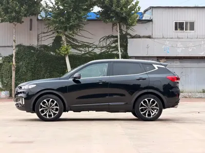 WEY Wey VV6