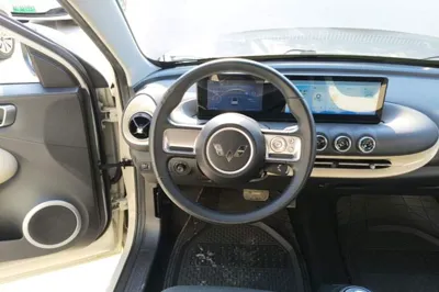 Wuling Bingo