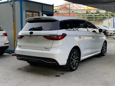 BYD MAX