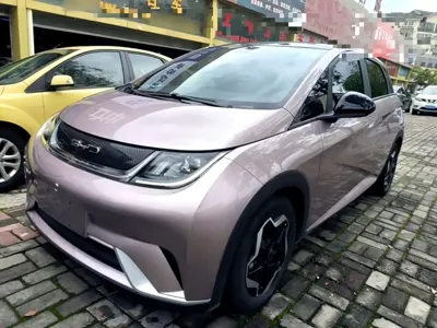 BYD Dolphin