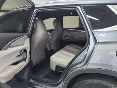 BYD Pro New Energy